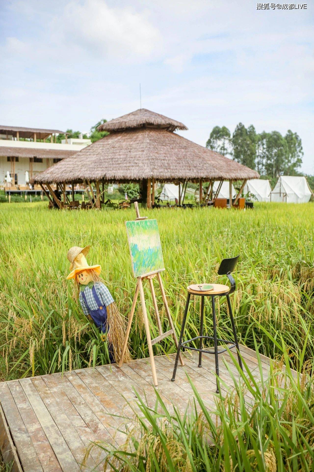 小草垛田野农场丨童年的纸飞机终于飞回我手里