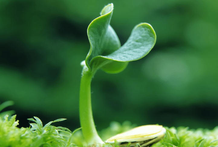 不瞞你說：10月上旬，桃花乘風來，一路發財，終成大器的屬相 星座 第3張