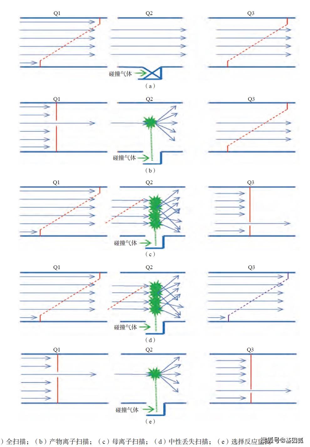 质谱招聘_沃特世全信息串联质谱 MSE简介