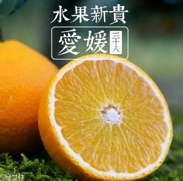 爱媛38号柑橘为日本杂交柑桔新品种,系南香×西子香杂交育成,树势旺.