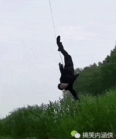 搞笑gif趣图 既已背影赢天下,何必回头乱芳华