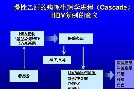 肝功gdp_肝功化验单