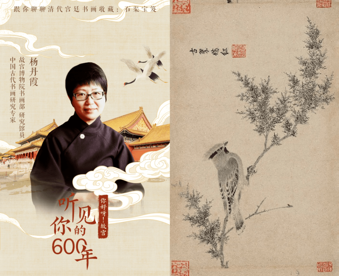 紫禁城|这个高枝是半个娱乐圈女星都想攀上的…