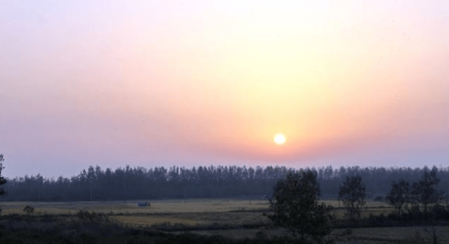 岳阳楼区gdp2018_岳阳楼区商场(3)