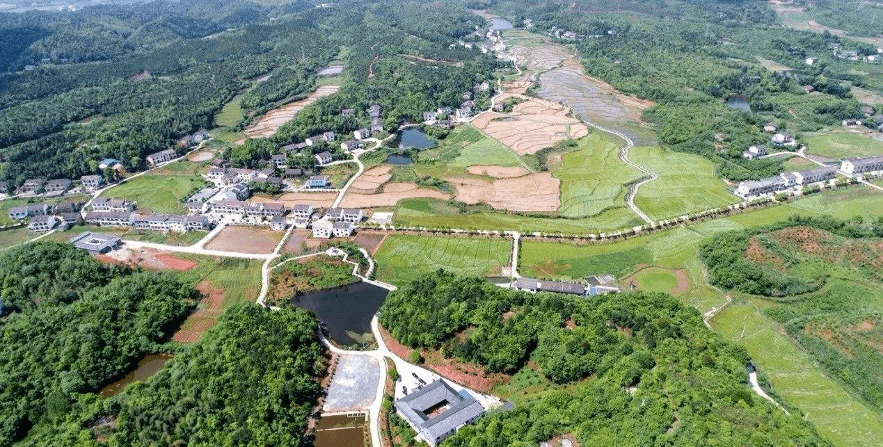 醴陵gdp各县_醴陵瓷谷图片(3)