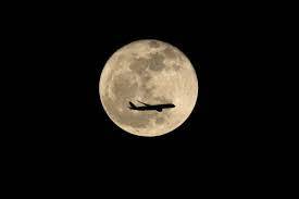 盘点|2020年双节 | 盘点有钱也买不到的大牌月饼系列