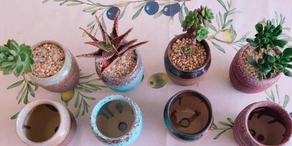 多肉小花盆手绘图 6f766b222a50466888791f8c18bcee42.jpeg