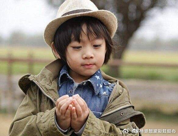 林志颖|俩娃身高遗传妈妈，颜值超高比哥哥像林志颖陈若仪晒双胞胎健身