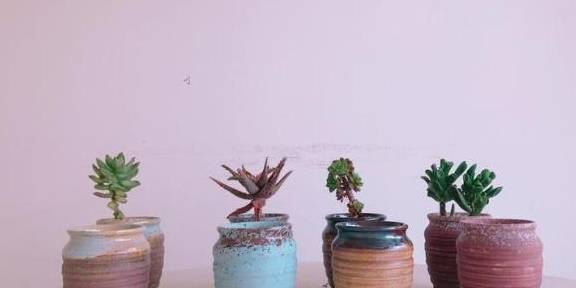 多肉小花盆手绘图 bed5561edc544b57bc7b0e48b3f0094c.jpeg