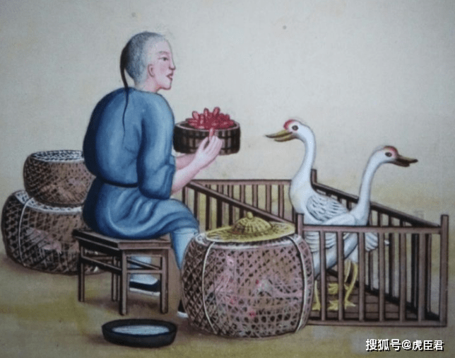 古代人口变动的特点_人口变动图片