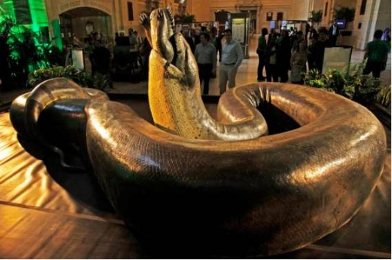 泰坦蟒有多长 0d8dd01e248849bb91619cc7e48ba64b.jpeg