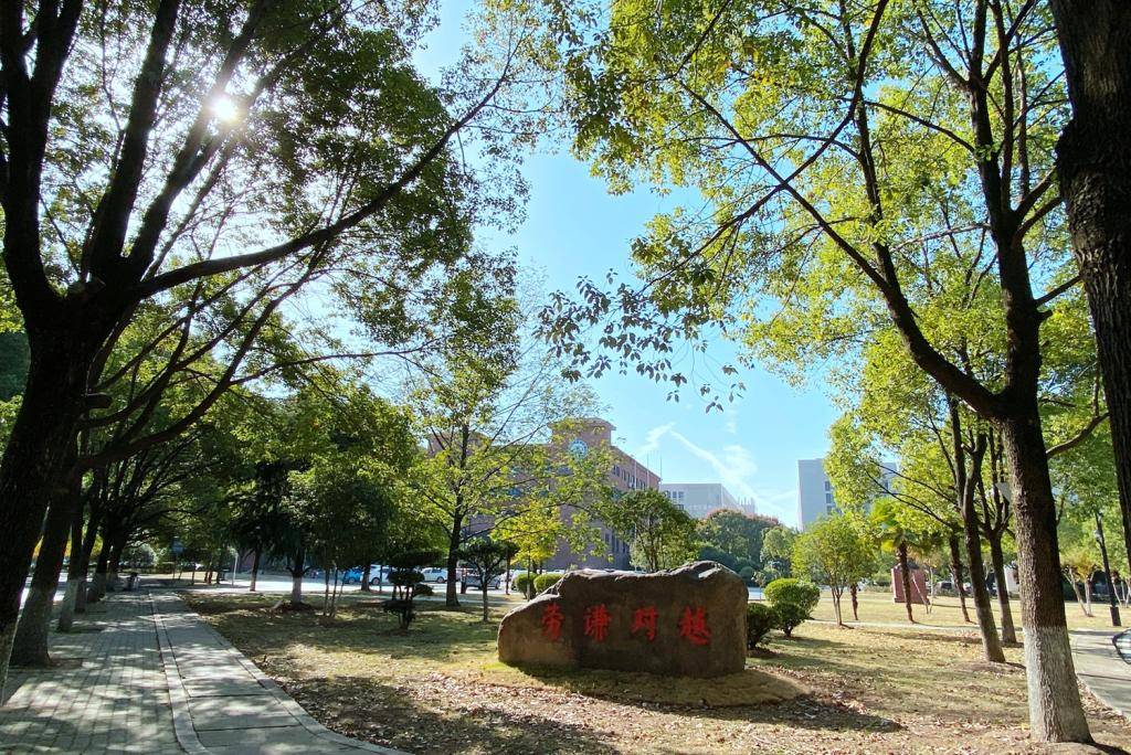 最新大学排名2020qs_THE发布2020世界大学声誉排名!25所英国大学上榜