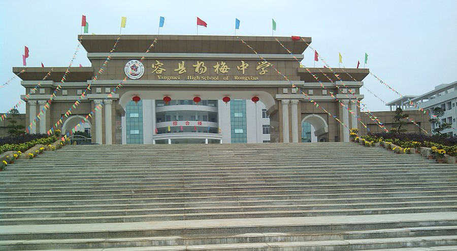 广西玉林容县最大的镇,以水果命名,是全国重点镇之一