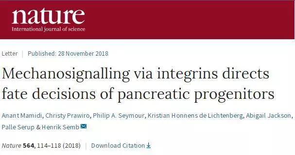 胰岛素是哪里发现的 4aa82294a3384159b14cd3c0d0efba32.jpeg