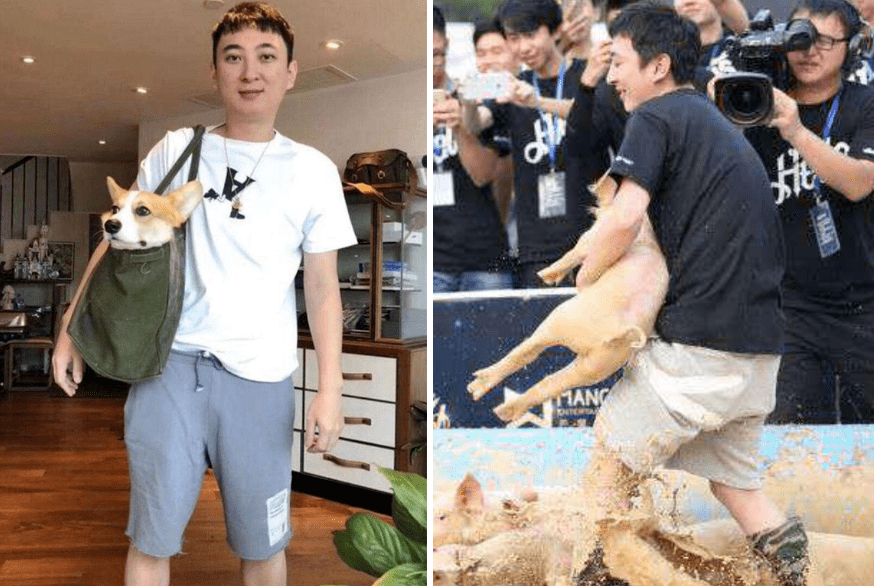 结婚证|郭碧婷产女被奖励一栋别墅，可结婚证还能领到吗？