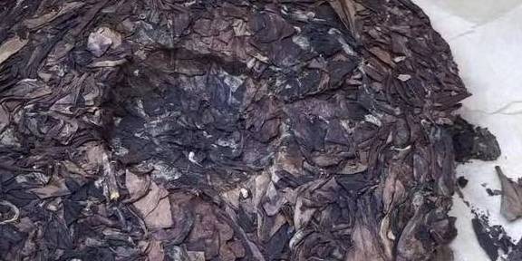 执念|坚持喝十年八年的老白茶,你的这份执念,很容易上当受骗!