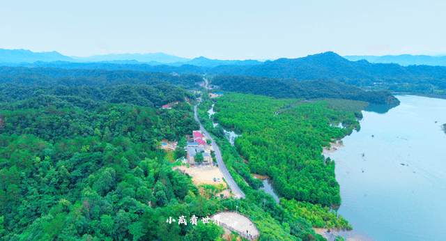 买面粉GDP_面粉图片