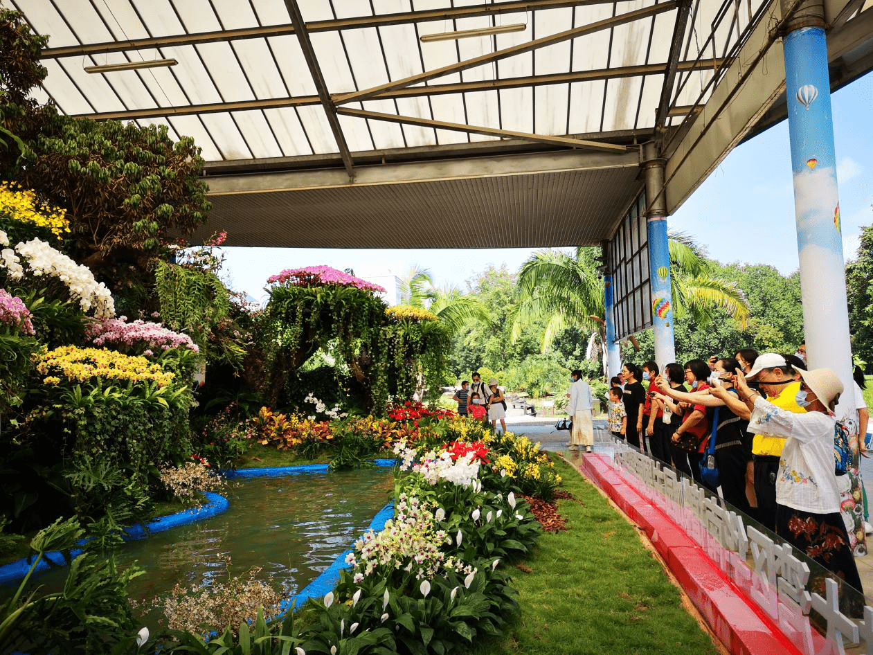 韶关兰花走进华南植物园主题展吸引2万多人打卡,展期延长至