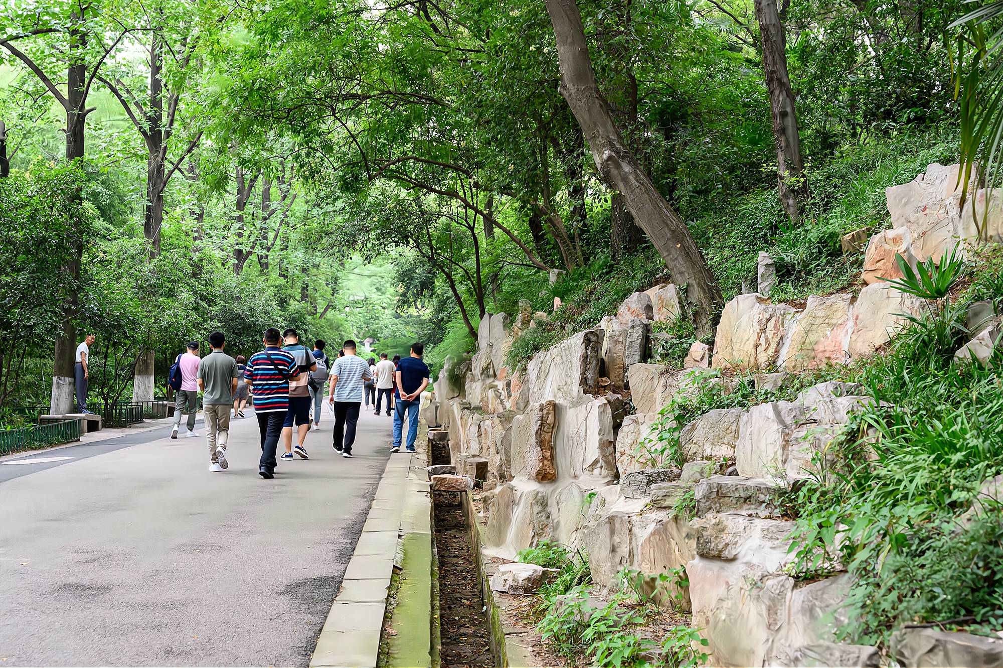 原创南京清凉山公园一座藏于喧嚣闹市中的城市山林门票免费