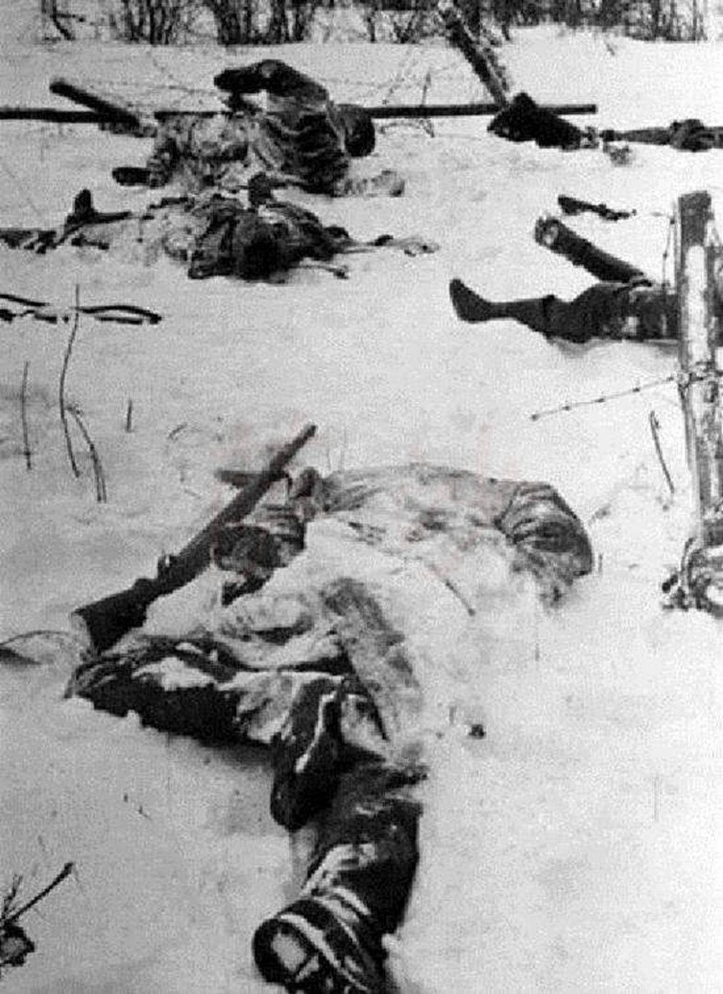 大雪严寒是德军失败的决定因素？1941年9月30日莫