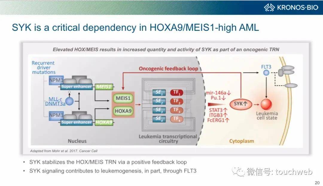 Funds|生物制药公司Kronos上市：涨42% 市值15亿美元
