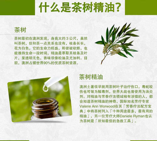 茶树精油的功效与作用有哪些？治疗中耳炎的用法