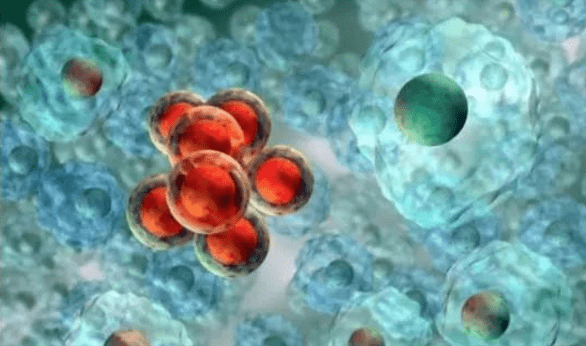 胰岛素是哪个细胞生成的 8775f3ddd2a34ac7a6e108e233281d99.png