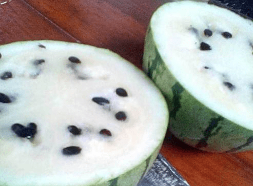 西瓜怎么切成花朵 4d01c2eb04f141cbb70f94fb6bed2b2d.png