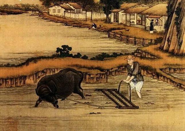 禁书|有哪些生意在古代是被禁止的,在现代却合法的