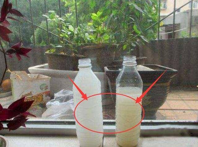 8d0702194db24f43a87b9ce17412d9db.jpeg