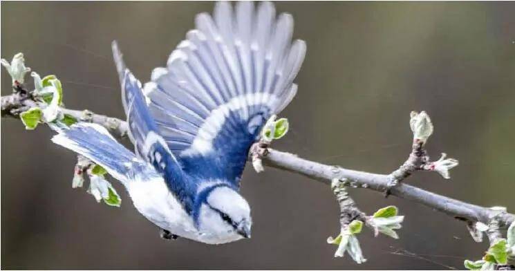 安全感|喵和鱼睡一起,是不是更有安全感?