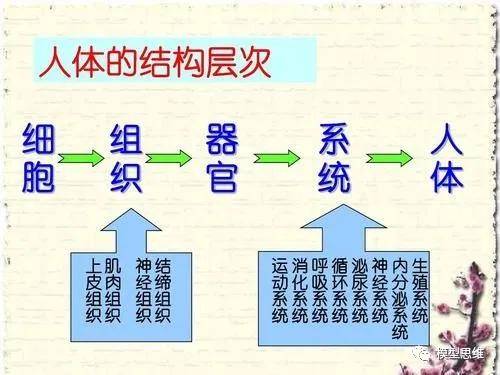 20世纪六十年代的美国经济总量_20世纪60年代美国(2)