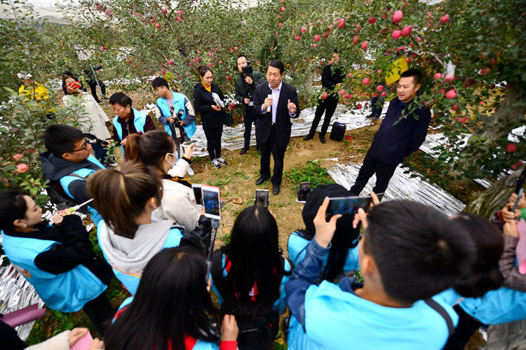 陕西果业|“延安有我一棵苹果树”当个快乐的都市农夫，你愿意认领吗？