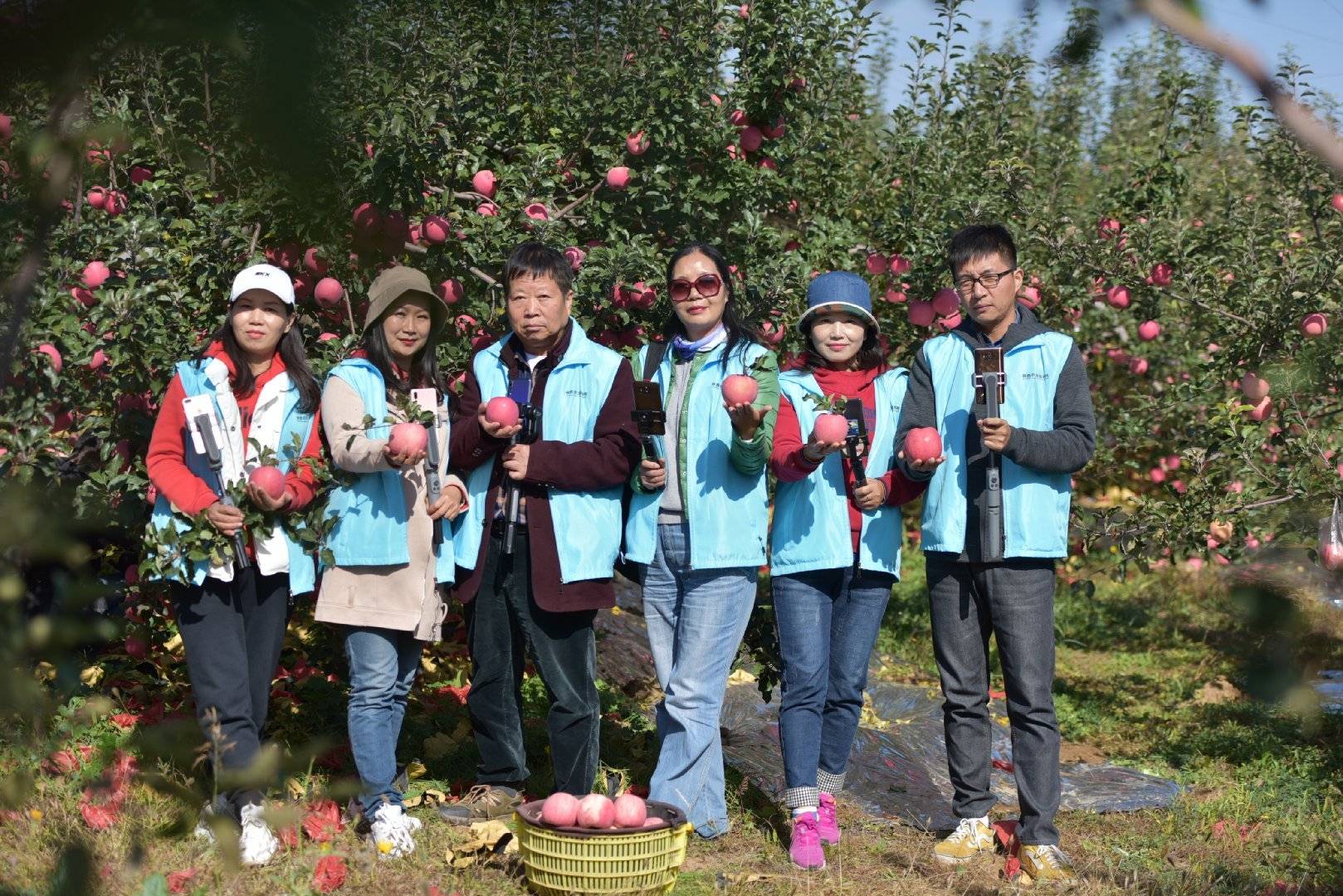 品牌|消费扶贫e起来丨主播带你进果园、看产业、选品牌 为延川苹果代言