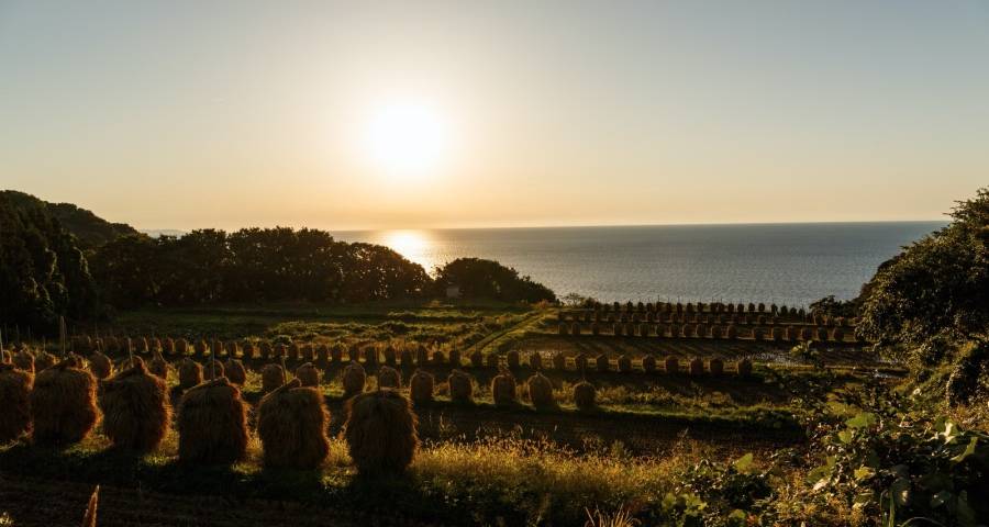 家电业当前最需要一口气一条心一起拼！-家电圈官网