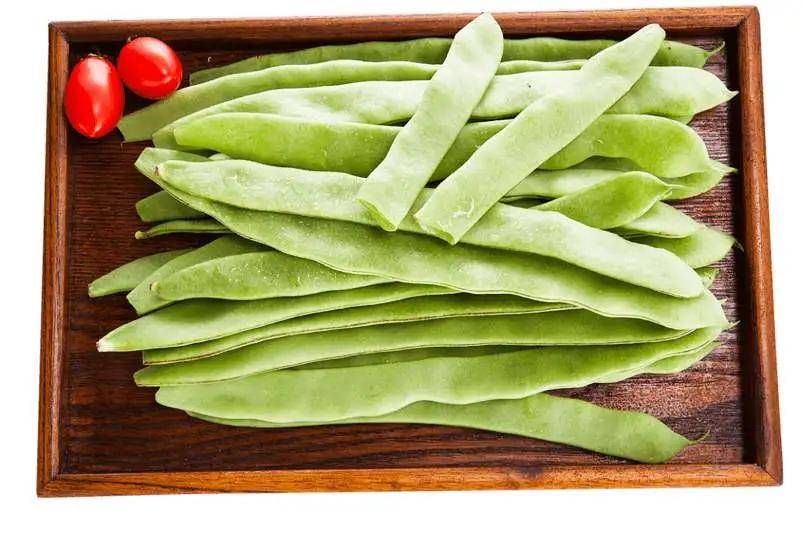 "green bean"不是"绿豆",别再理解错了!_四季豆