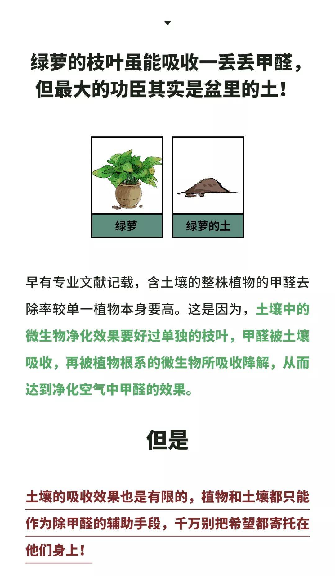 a569d09f83b6478abe985f36ba934819.jpeg
