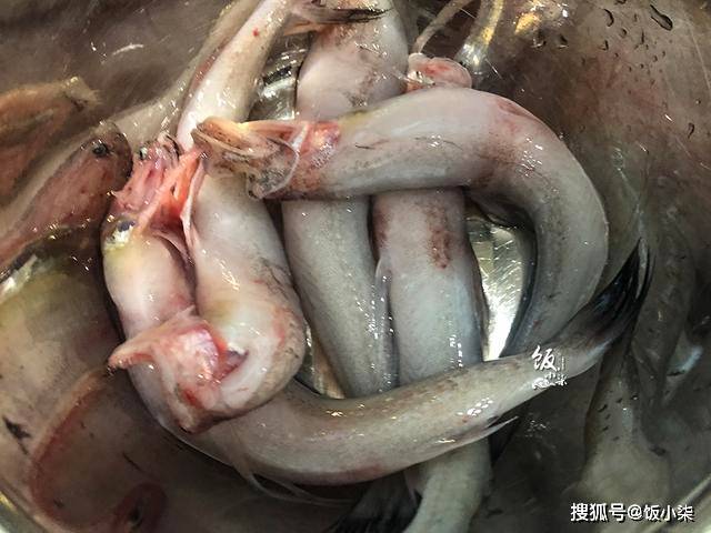 怎么去鱼骨的腥味 b210e5f2543b45deb86e0df807b5d384.jpeg