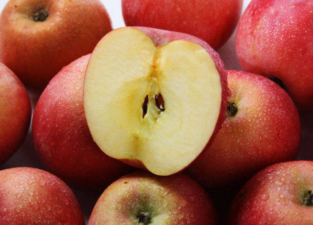 苹果怎么吃可以止泻 c69a6c61a04e4b83a4ec11b729d10c03.jpeg