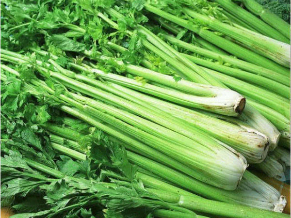 食芹菜好处多,但是别和“它”一起吃,吃了就是没病找病