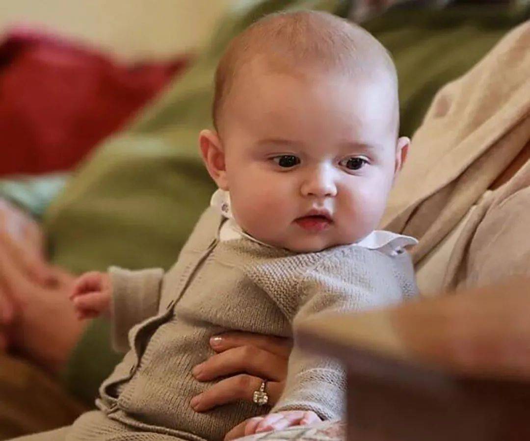 查尔斯|欧洲最有钱小王子长胖了，肉肉小身体撑开外套，摆出无辜脸萌萌哒