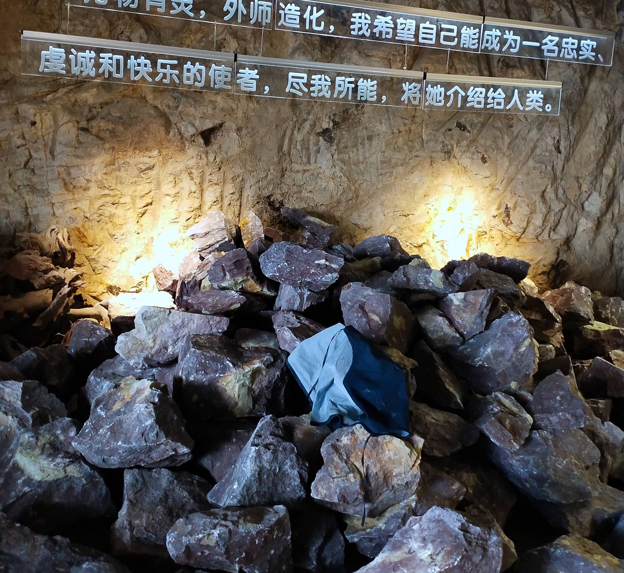瓯语人口_人口普查(3)
