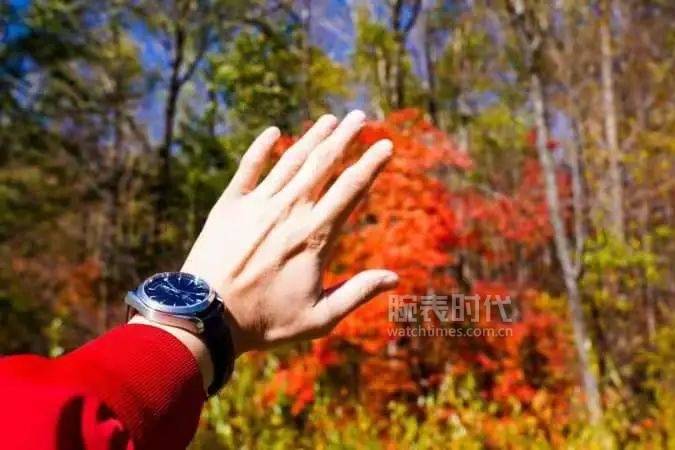 时间|近200位网友晒表，看看你的同款表友有多少？