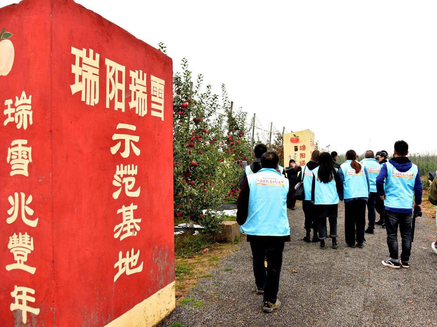 魅力|金秋送爽魅力果乡，白水苹果亿万人民的口福!