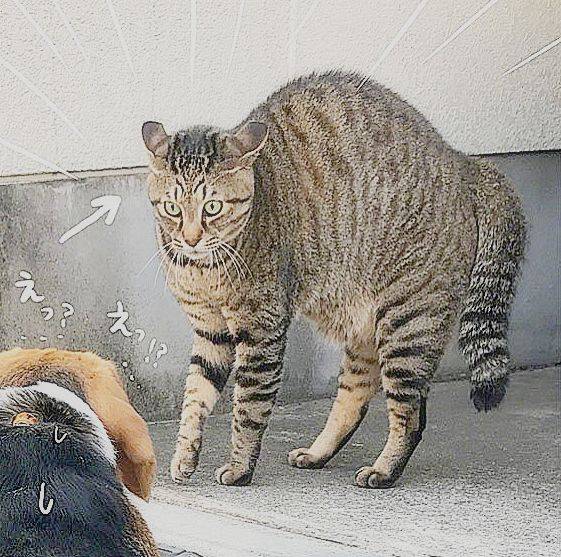 985d7983c52447ff9103d5366289e994.jpeg