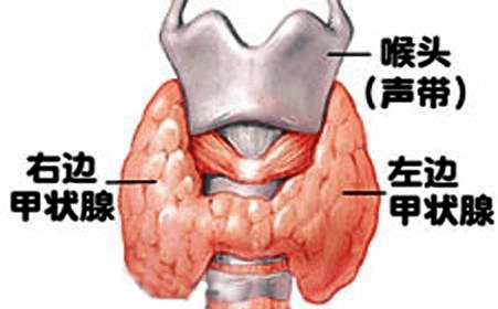 大庆市甲状腺癌占人口的多少_大庆市地图(2)