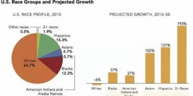 美国白人人口比例_美国人口结构大变化 白人比例跌破6成 亚裔人口增速最快