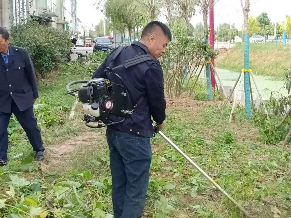 汤涧镇人口_大理州漕涧镇美女