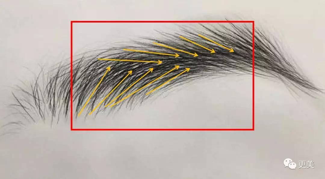 fa|侯佩岑忍了18天，终于用12个字打了昆凌的脸...