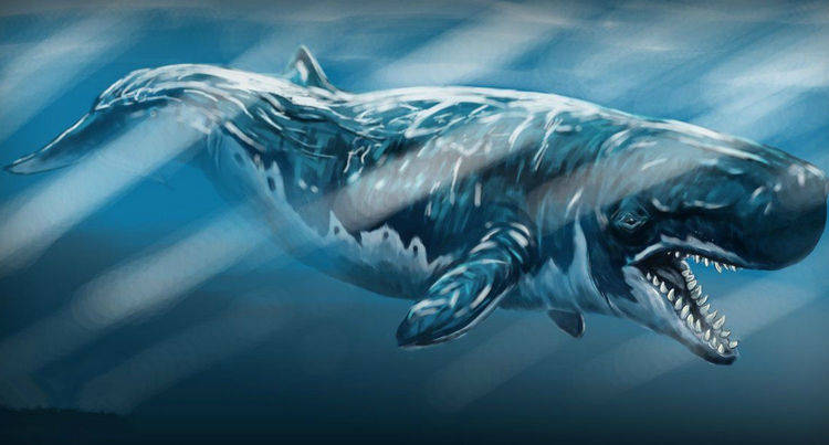 原创史前巨兽巨齿鲨没有天敌,为什么会灭绝?我们可能是逻辑错误了
